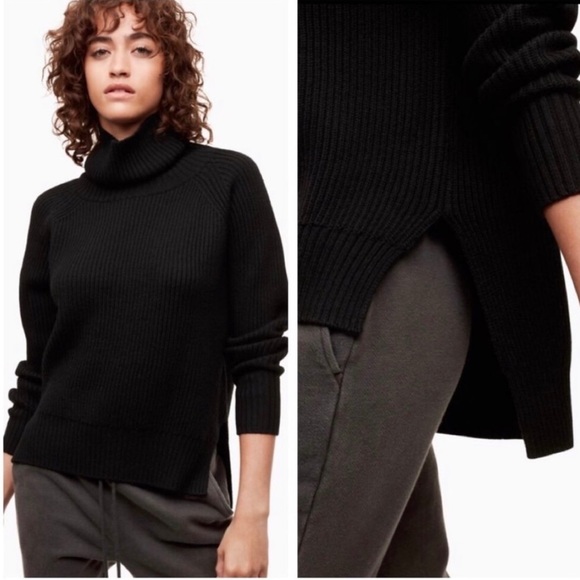 Aritzia Sweaters - Wilfred Free Turtle neck